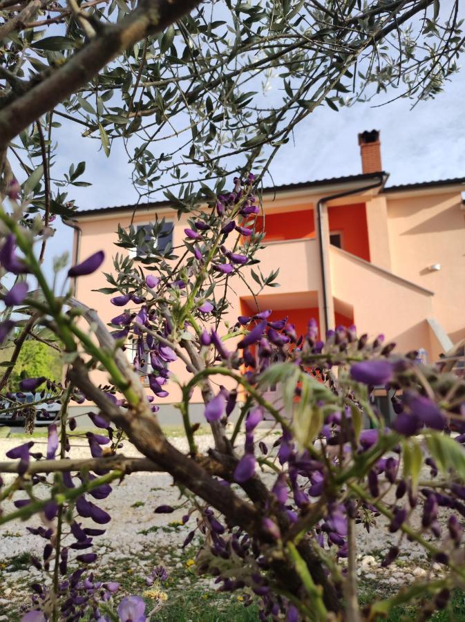 Apartman Tramonto Motovun Zewnętrze zdjęcie