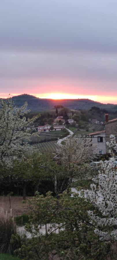 Apartman Tramonto Motovun Zewnętrze zdjęcie
